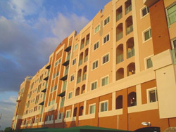 en stage, stage, stagiaire